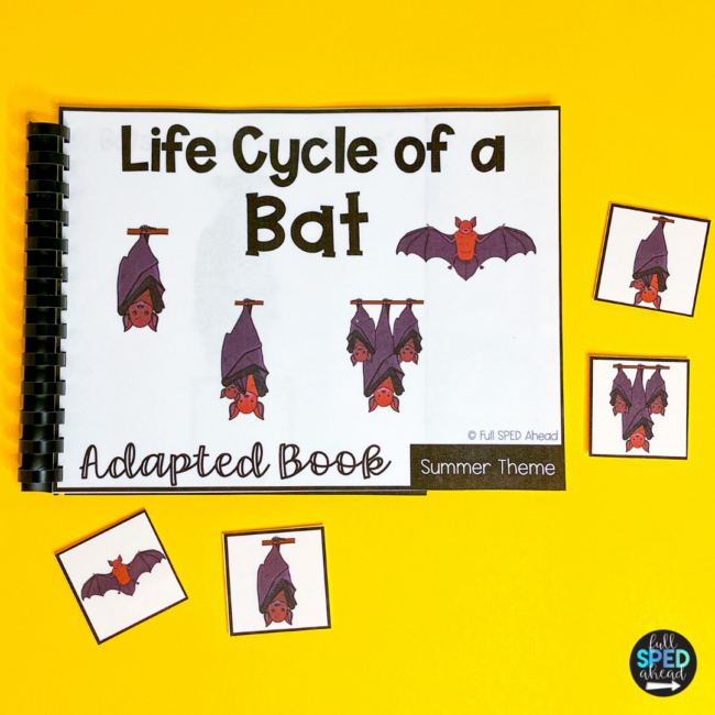 Free Science Life Cycle of a Bat Adapted Book & Worksheet for Special Education - Image 2