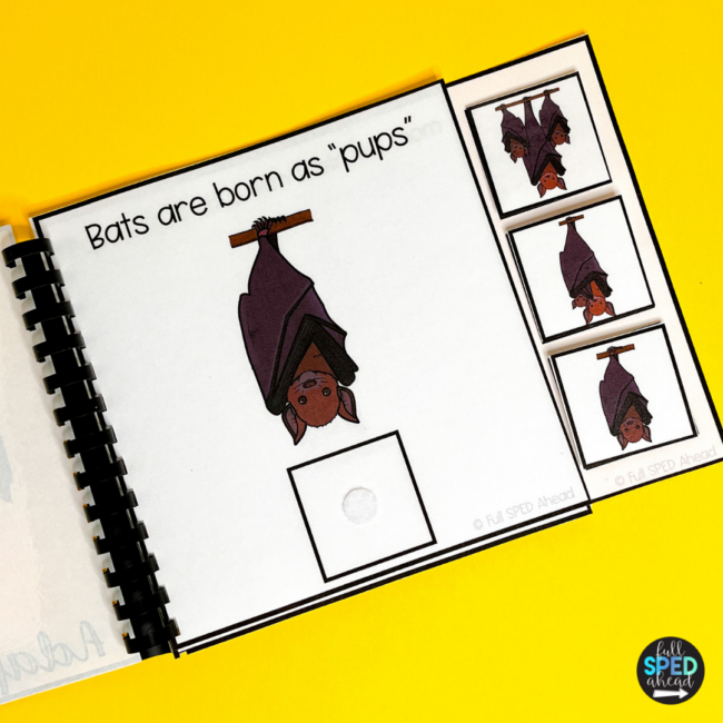 Free Science Life Cycle of a Bat Adapted Book & Worksheet for Special Education - Image 3